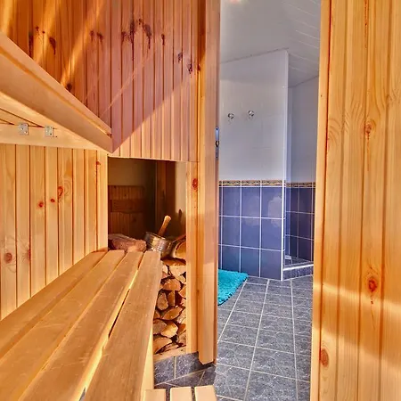 Toompuiestee Penthouse With Sauna