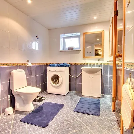 Toompuiestee Penthouse With Sauna Apartment *