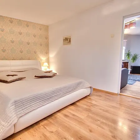 Toompuiestee Penthouse With Sauna Apartment