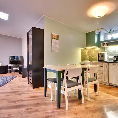 Toompuiestee Penthouse With Sauna Apartament Tallin